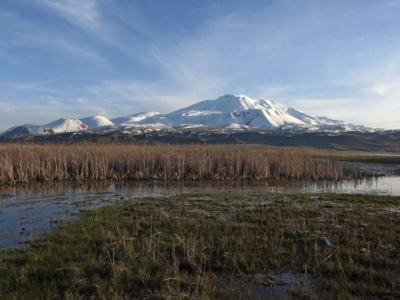 Арарат